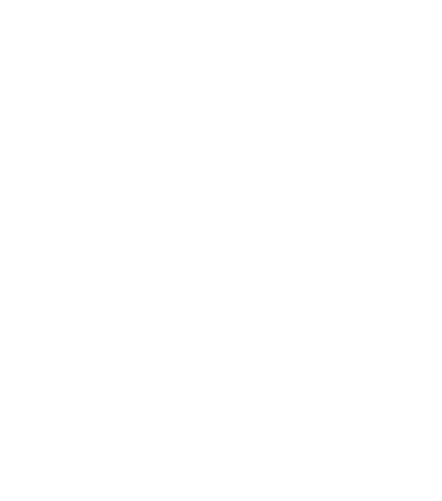 OLMAE Agencia de Aduanas Logo Vertical Principal